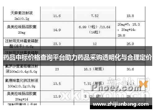 药品中标价格查询平台助力药品采购透明化与合理定价