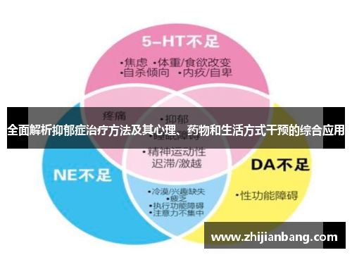 全面解析抑郁症治疗方法及其心理、药物和生活方式干预的综合应用